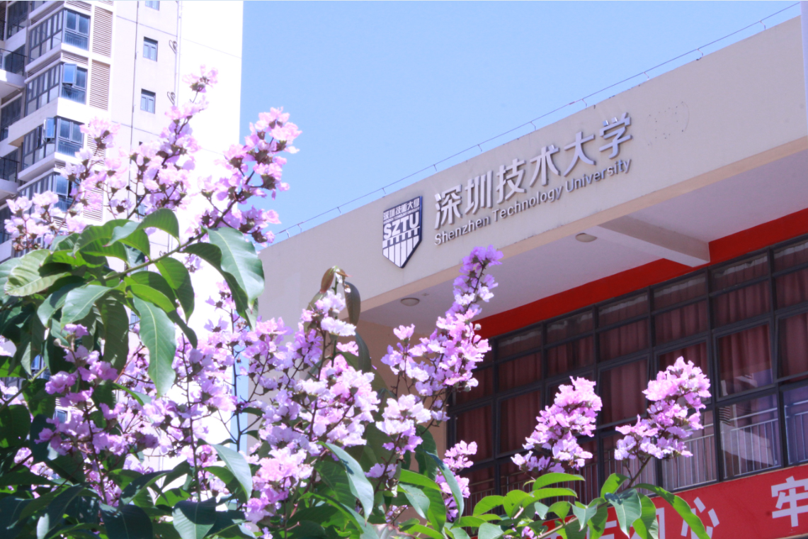 2019香蕉入口污污下载團體標準啟動儀式